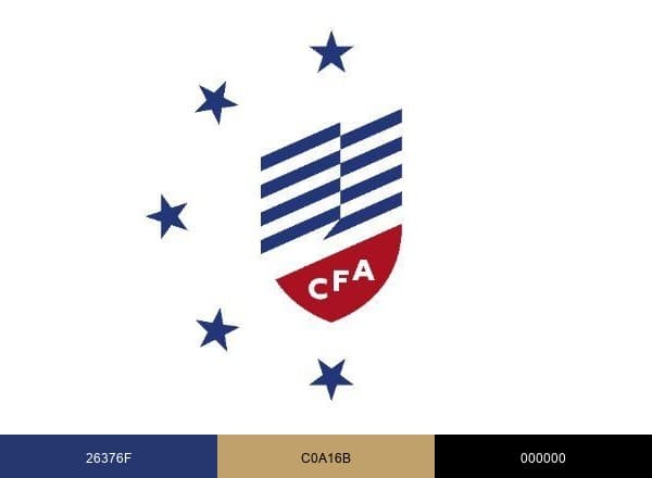 Consumer Federation of America brand color palette