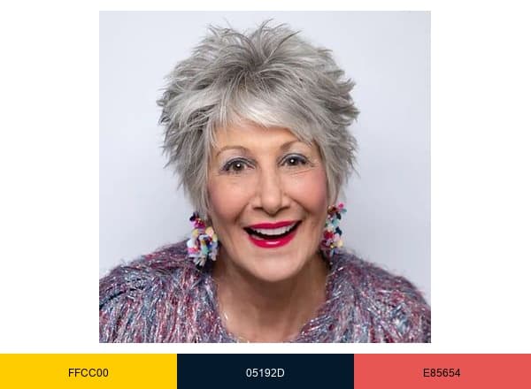 Cook County Treasurer's Office brand color palette