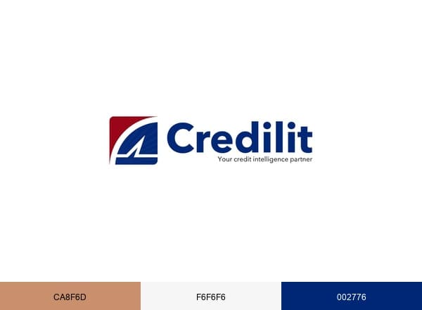 Credilit Limited brand color palette