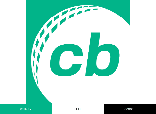 Cricbuzz brand color palette