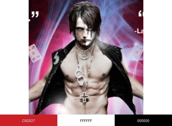 Criss Angel brand color palette