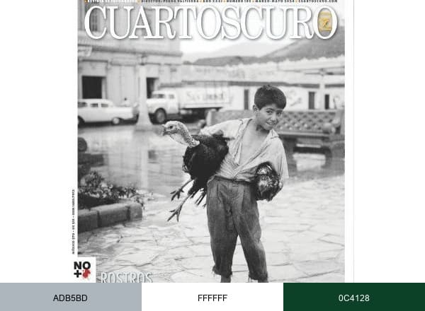 Revista Cuartoscuro brand color palette