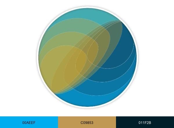 Foundation for the Study of Cycles brand color palette