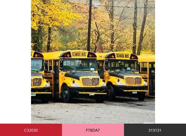 DATTCO brand color palette