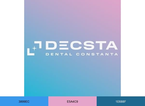DECSTA brand color palette