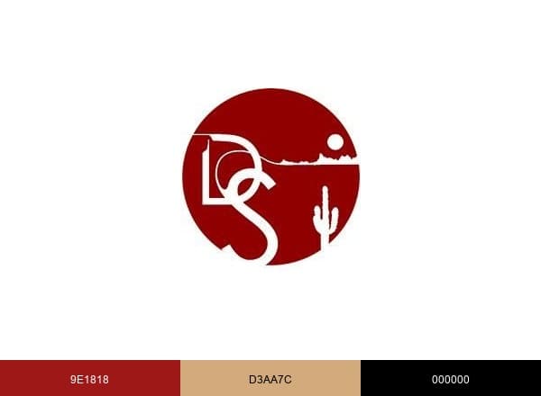 Desert Shadows Chiropractic & Wellness brand color palette