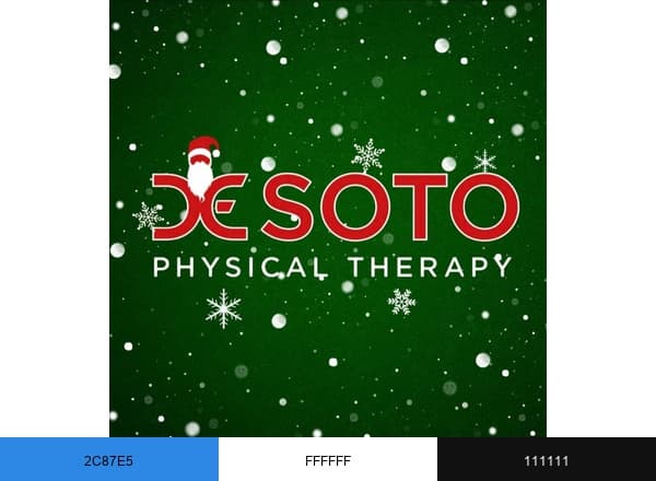 DeSoto Physical Therapy brand color palette
