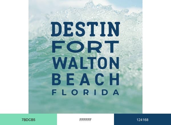 DestinFWB brand color palette