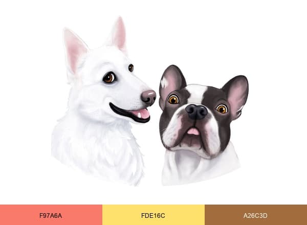 – Dexter et Mango brand color palette