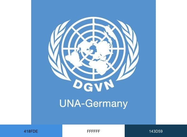 DGVN e.V. brand color palette