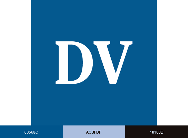 Diario de Valladolid brand color palette
