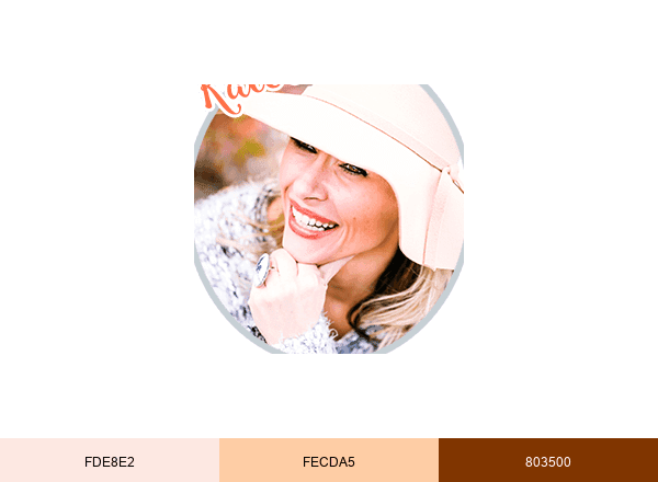 Diethood brand color palette