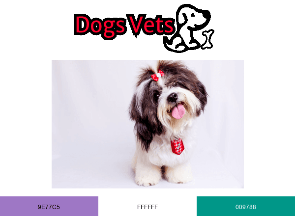 Dogsvets brand color palette