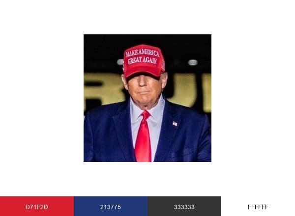 Trump War Room brand color palette