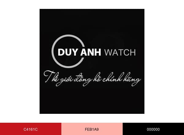 Đồng Hồ Duy Anh brand color palette