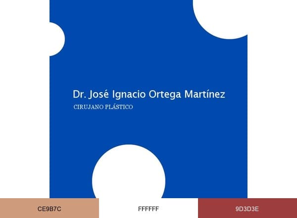 Clínica Dr Ortega brand color palette
