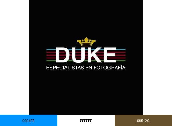 Duke Fotografia brand color palette
