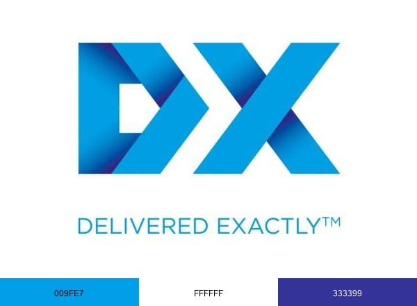 DX Group brand color palette