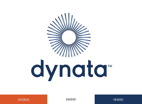 Dyna brand color palette