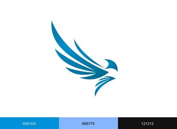 Eagle Eye Networks brand color palette