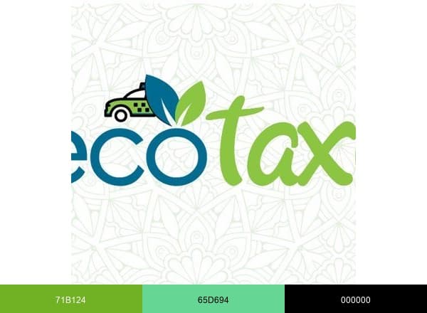 Ecotaxi Bolivia brand color palette