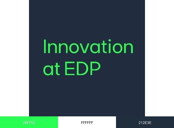 edp group brand color palette