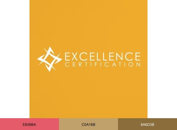 Excellence Certification brand color palette