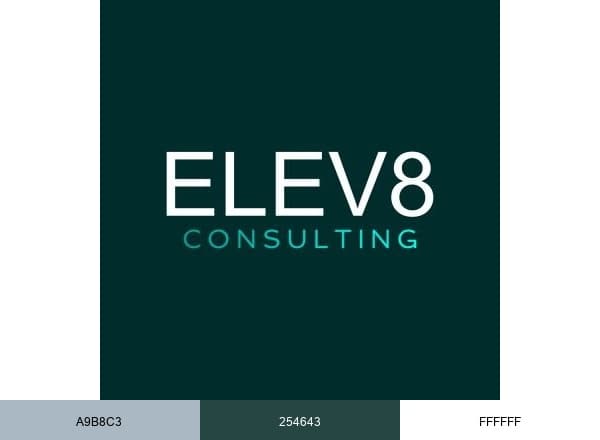 ELEV8 Consulting brand color palette