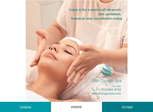 Elite Spa brand color palette
