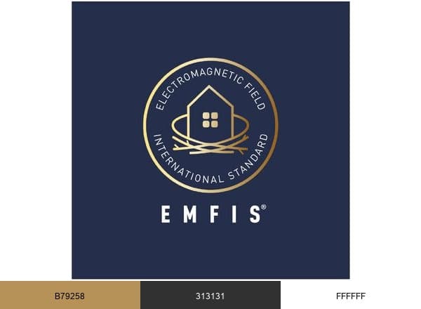 EMFIS brand color palette