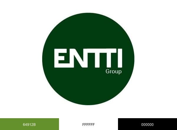 Entti Group Oy brand color palette