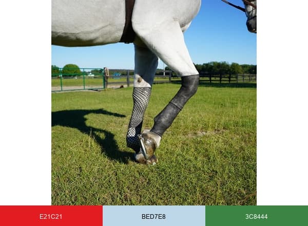 EquineSleeve brand color palette