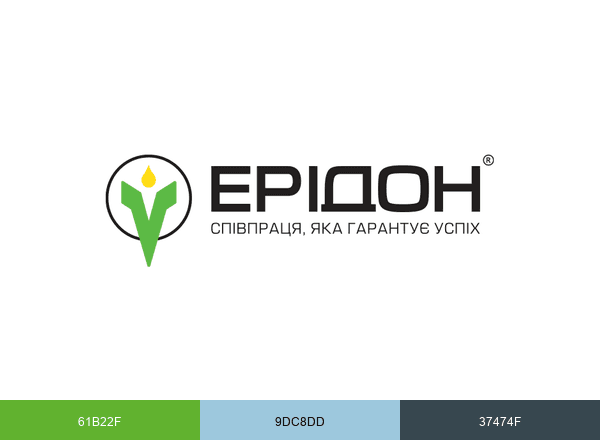Eridon brand color palette