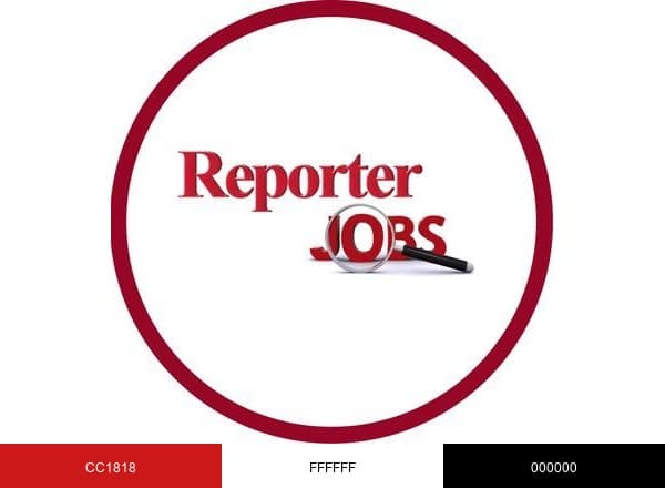 Ethiopian Reporter Jobs brand color palette
