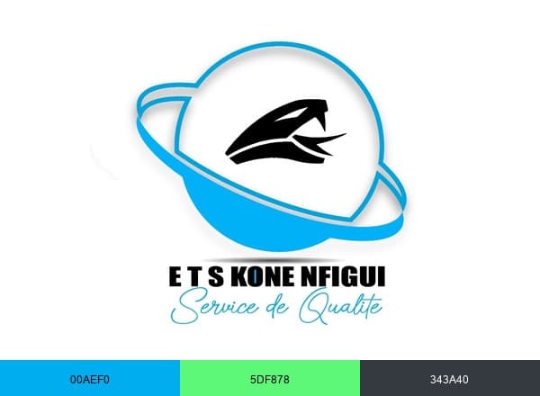 ETS KONE nfigui brand color palette