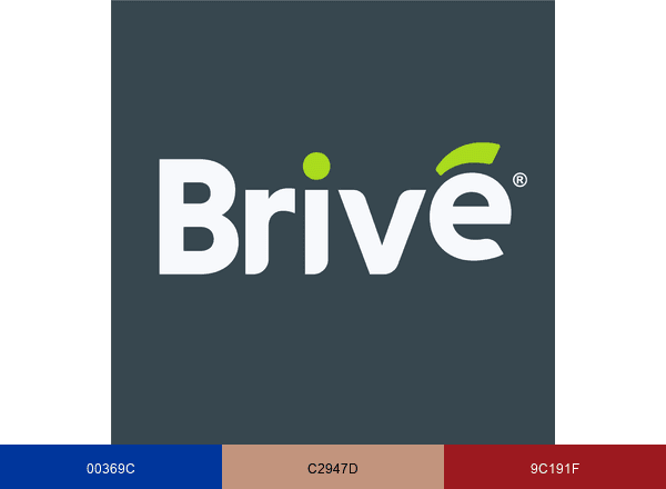 Brivé Soluciones brand color palette