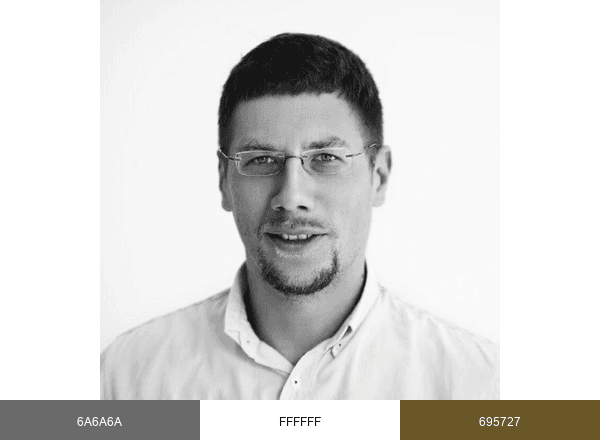Sergey brand color palette