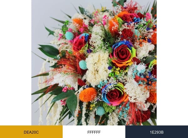 EVIGR brand color palette