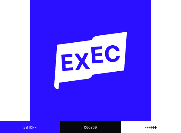 ExecHeadshots brand color palette