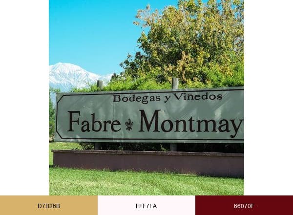 Fabre Montmayou brand color palette