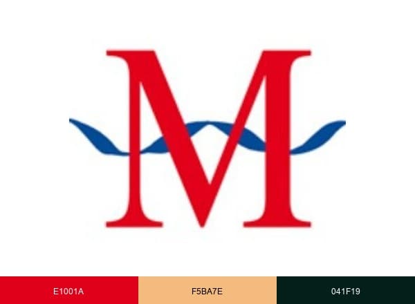Fantasias Miguel brand color palette