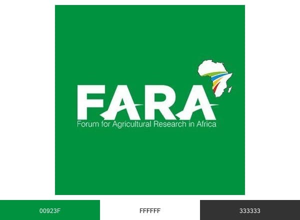 FARA Africa brand color palette