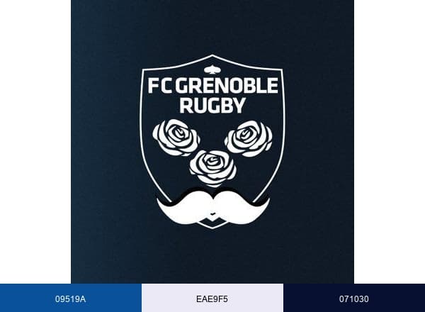 FC Grenoble Rugby #AllezFCG brand color palette