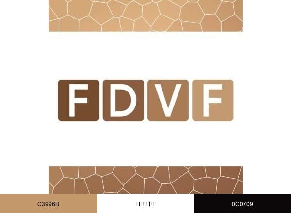 FDVF brand color palette