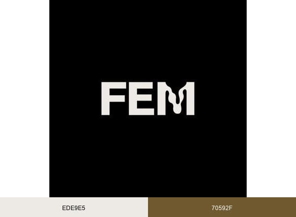 Fem brand color palette