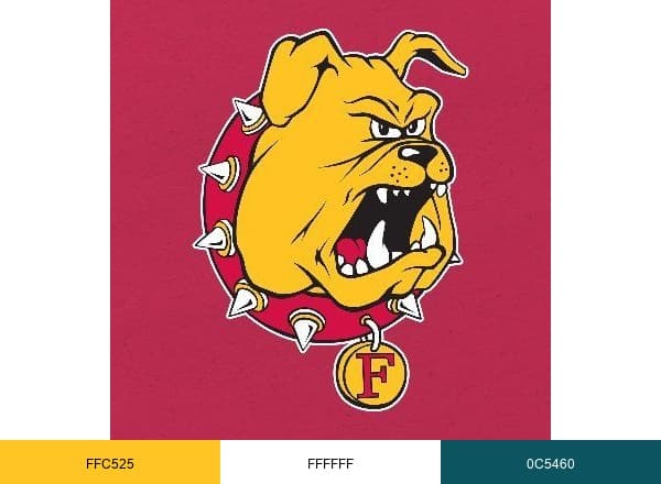 Ferris Athletics brand color palette