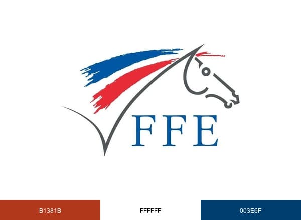 FFE brand color palette