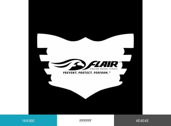 FLAIR Strips brand color palette