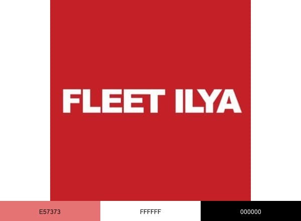 Ilya Fleet brand color palette