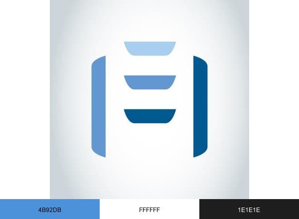 FleishmanHillard brand color palette